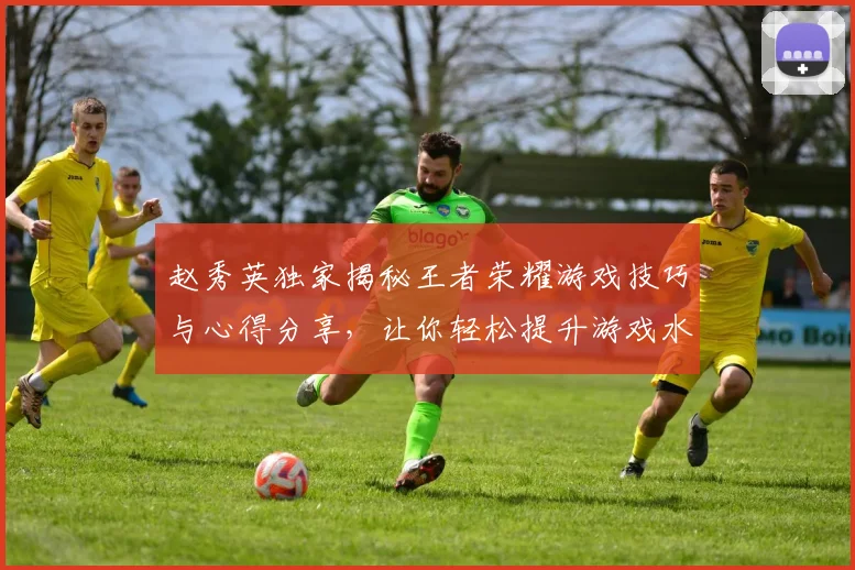赵秀英独家揭秘王者荣耀游戏技巧与心得分享，让你轻松提升游戏水平