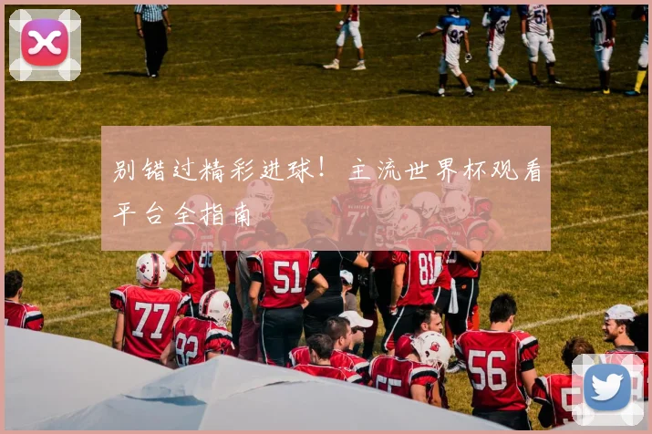 别错过精彩进球！主流世界杯观看平台全指南